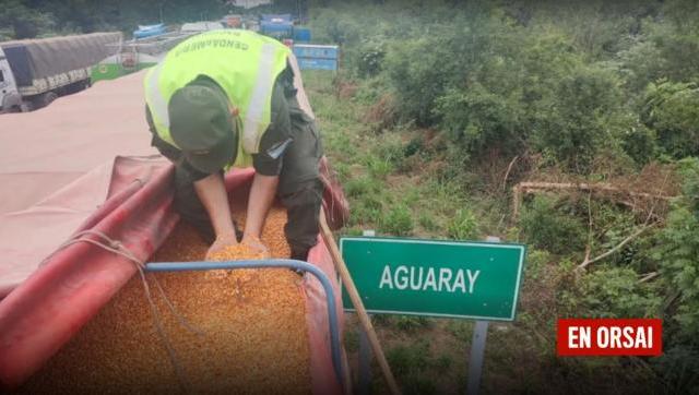 Gendarmería Nacional incauta cargamento de más de 660 toneladas en operativos en la Ruta Nacional N° 34