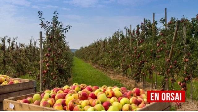 Crean programa de financiamiento para la producción frutícola de Río Negro y Neuquén