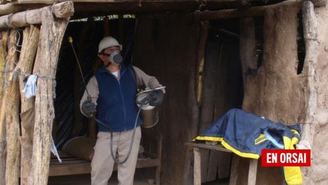 Estudio revela cómo erradicaron las vinchucas en un municipio chaqueño y desafían la propagación del Chagas