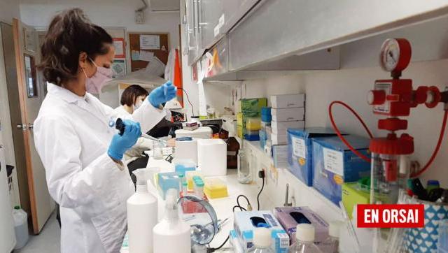 Avanza el desarrollo de un test de detección precoz del cáncer de mama y de próstata