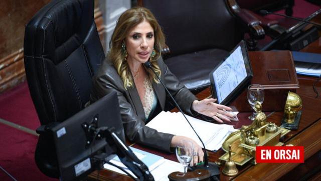 Episodio Épico en el Senado: La Batalla por la Magistratura de Ana María Figueroa