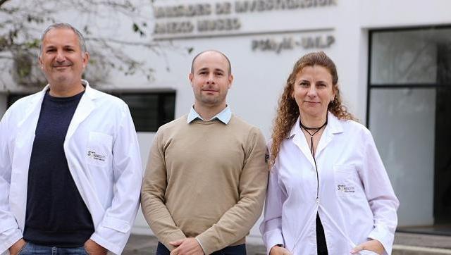 Científicos Argentinos desarrollan un bioinsecticida a base de hongos que mejora los cultivos