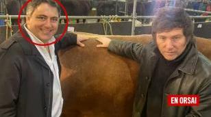 Al presidente del Senado libertario la justicia lo embargó por deudas millonarias
