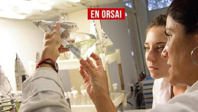 Lo que dejó el peronismo: Argentina lidera el desarrollo de empresas tecnológicas en América Latina