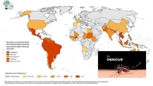 Dengue en aumento: vacuna y otras formas de prevención