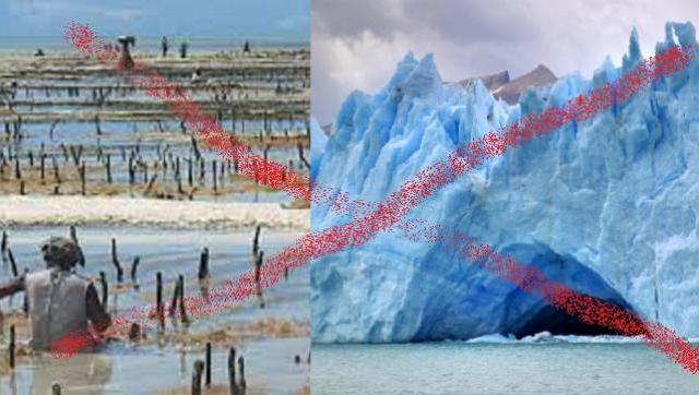 Greenpeace: 