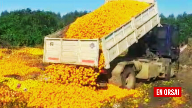 El Despilfarro de la abundancia: Toneladas de alimentos se pudren cuando miles de personas en Argentina pasan hambre