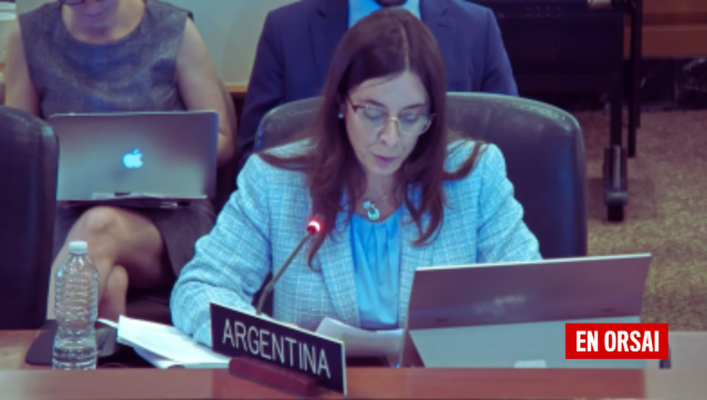 Sonia Cavallo y su vergonzosa diplomacia contra la perspectiva de género, los derechos humanos y el cambio climático