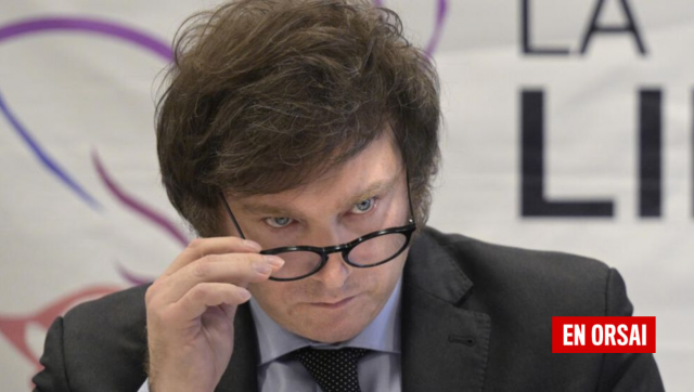 El desmoronamiento de la popularidad de Milei: El impacto de sus políticas en la opinión pública