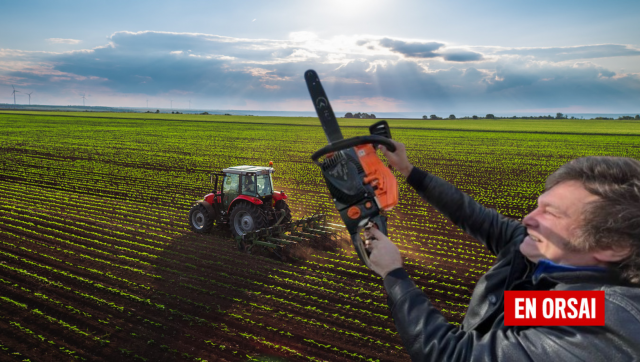 La CNV regula más al sector rural: El cepo contra el efecto dominó que sacude al agro argentino