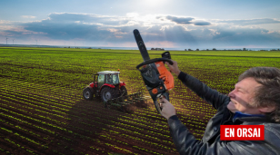 La CNV regula más al sector rural: El cepo contra el efecto dominó que sacude al agro argentino