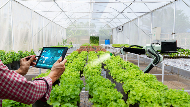 Tecnología, agronegocios y futuro: cómo la transformación digital puede redefinir la agroindustria argentina