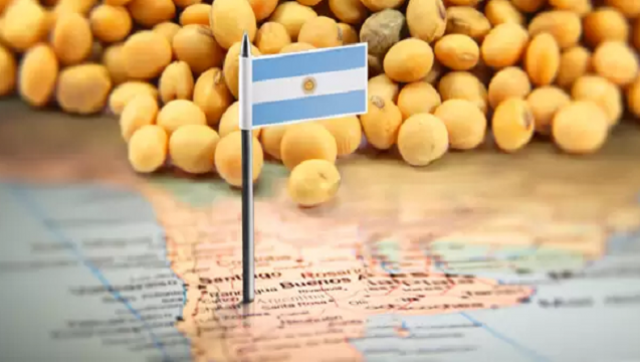 Demoras en la entrega de soja en Argentina: el ritmo más lento en 11 años