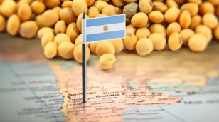 Demoras en la entrega de soja en Argentina: el ritmo más lento en 11 años