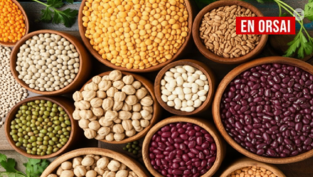 Una composición luminosa y apetitosa de diferentes tipos de legumbres crudas (lentejas marrones y verdes, garbanzos beige, frijoles rojos y blancos, habas verdes)