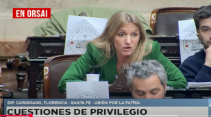 Carignano sin filtro: "Hay diputadas que entorpecen, no estudian y viven en el Faena"