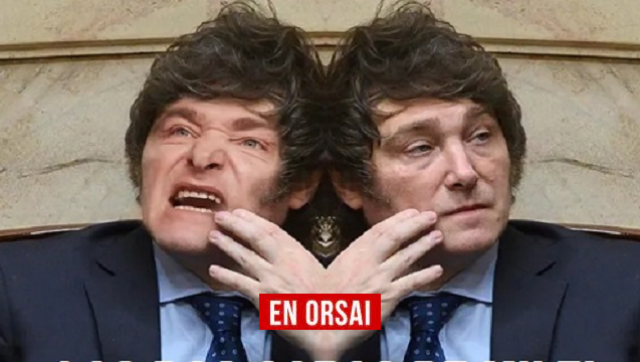 La economía bipolar de Milei: cae el consumo básico, suben los electrodomésticos