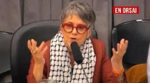 Alicia Castro en entrevista radial denunciando el genocidio en Palestina y el accionar de Javier Milei contra el Estado argentino