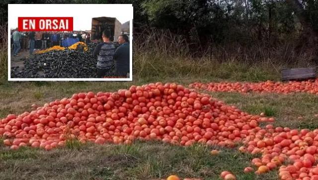 Productores de Salta atraviesan una crisis inédita-