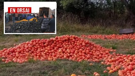 Productores de Salta atraviesan una crisis inédita-