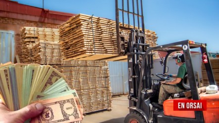 Corrientes al l&iacute;mite: empresas pagan salarios con vales