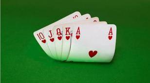 La diversificación y la seguridad técnica definen la experiencia en las principales plataformas de casino online.
