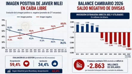 Grafico estadistico que muestra la caida de la imagen positiva de Javier Milei y el balance negativo de divisas.