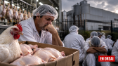 ¿Salario o pollos? Granja Tres Arroyos ofrece mercadería a trabajadores en medio de la crisis