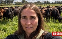 ¿Ciencia o castigo? La investigadora del INTA que podría ser expulsada tras medir plaguicidas en personas y animales